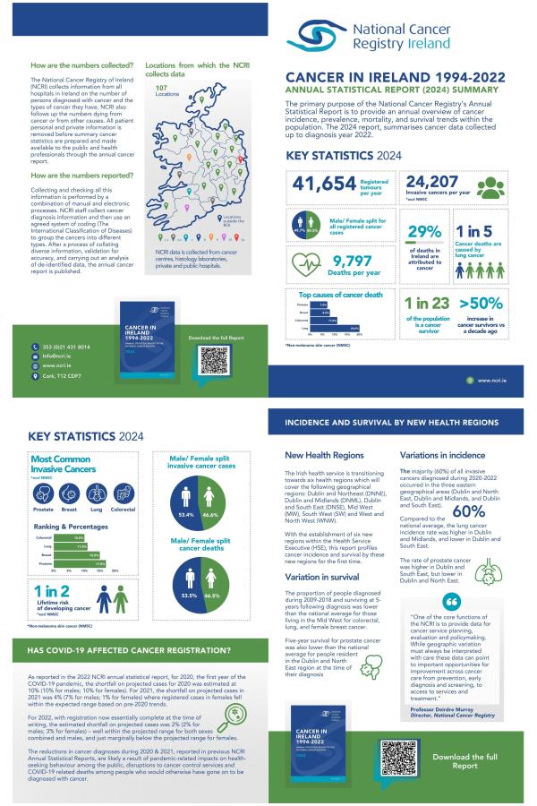Annual Statistical Report 2024 summary