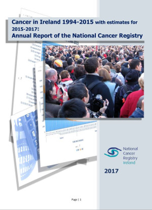 Cover of the 2017 Annual Report
