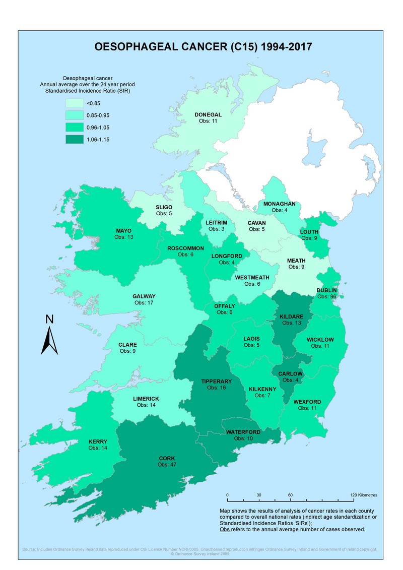 Oesophagus 1994-2017 annual average