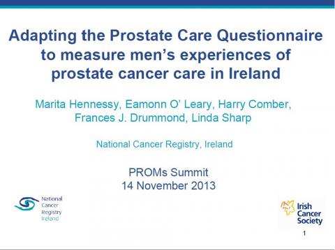 Image for Adapting the Prostate Care Questionnaire to measure men’s experiences of prostate cancer care in Ireland