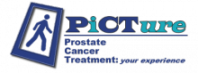 Picture project logo