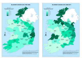 Bladder 1994-2005 & 2006-2017 annual average