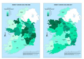 Kidney 1994-2005 & 2006-2017 annual average