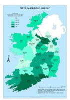 Testis 1994-2017 annual average