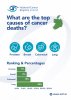 Top causes of death 2024